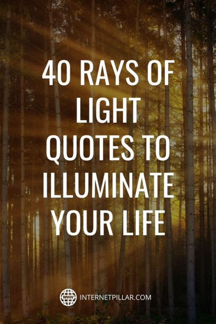 100+ Phrases That Illuminate Your Path Of Destiny