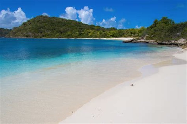 Billionaire Building A Luxe Caribbean Resort For Bitcoin Cash Holders Only
