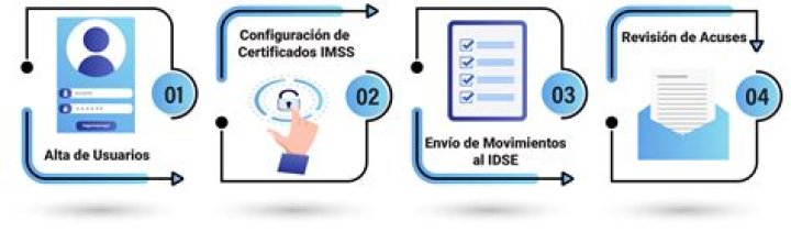 Conexión en línea con IDSE