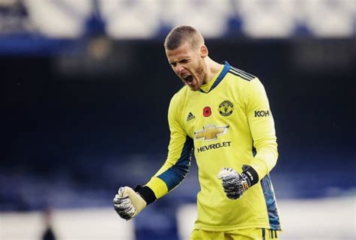 David de Gea Net Worth
