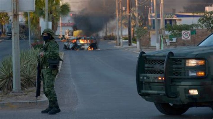El Chapo's Top Money Launderer "King Midas" Taken Down By Mexican Authorities