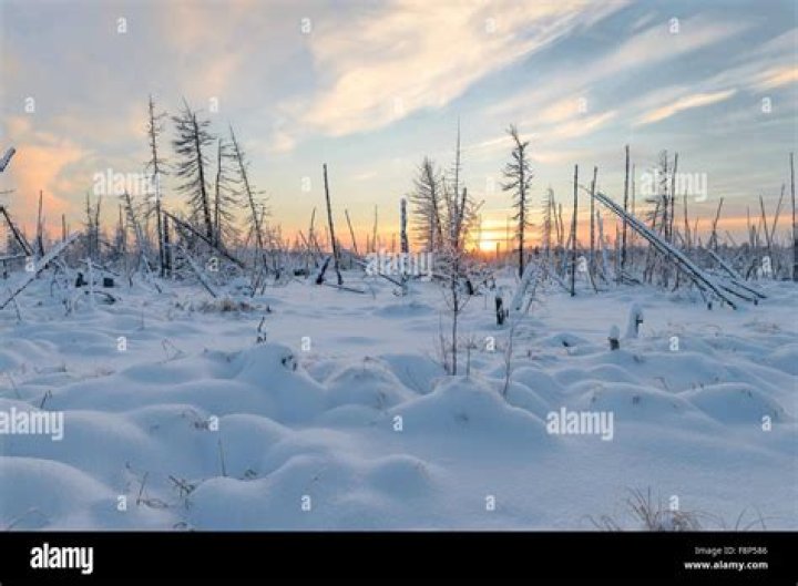 Explore The Enchanting Landscapes Of The Yamal Peninsula