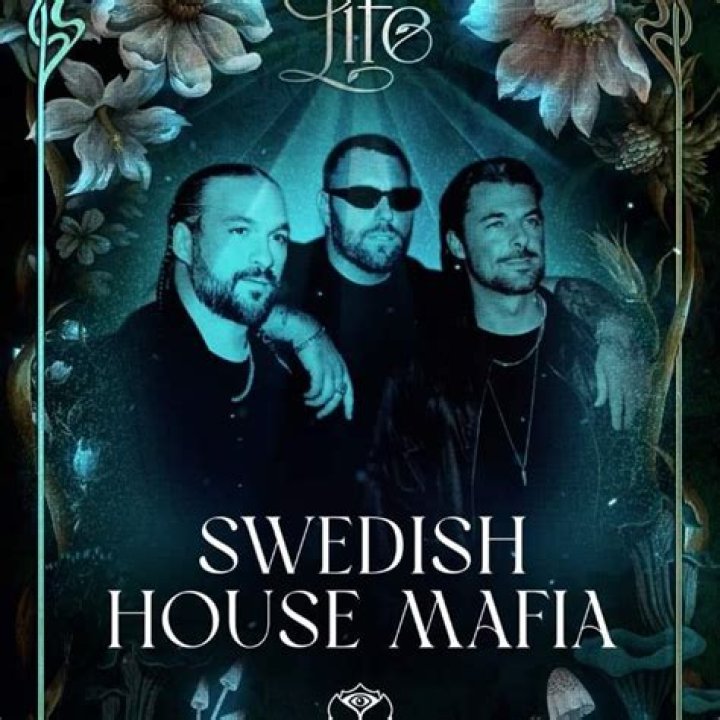 Swedish House Mafia Net Worth