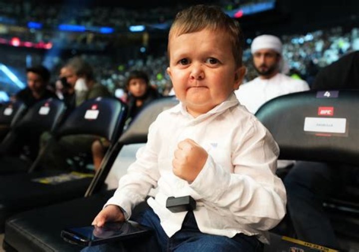 Who Is Hasbulla: The Internet Sensation Explored